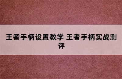 王者手柄设置教学 王者手柄实战测评